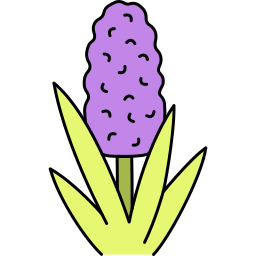 Hyacinth icon