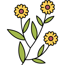 Calendula icon