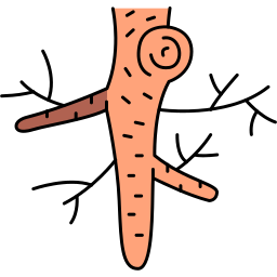 Horseradish icon