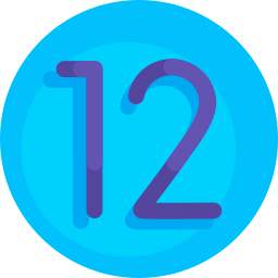 12 icon