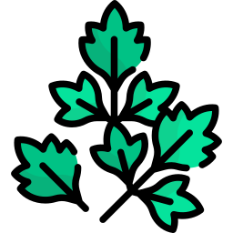 Coriander icon