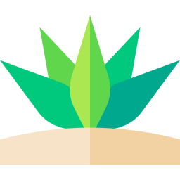 Agave icon