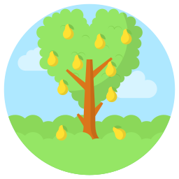 Mango icon