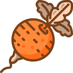 Beetroot icon