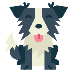 Border collie icon