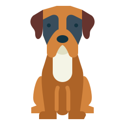 Boxer icon