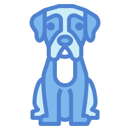 boxer icon