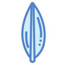 Leaf icon