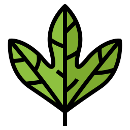 Leaf icon