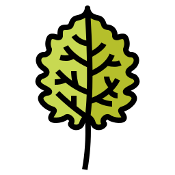 Leaf icon