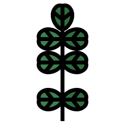 Leaf icon