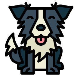 border collie icon