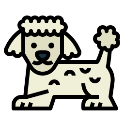 Poodle icon