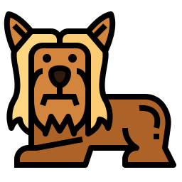 Yorkshire terrier icon