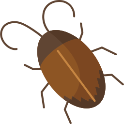 Cockroach icon