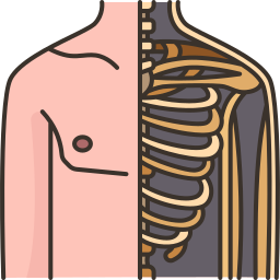 fisiologia icona