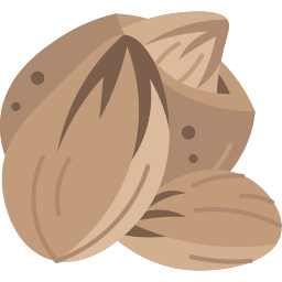 Almond icon