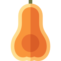 Butternut squash icon