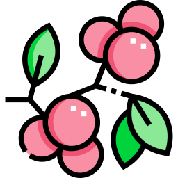 beeren icon