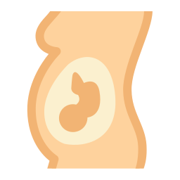 Pregnant icon