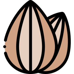 Almond icon