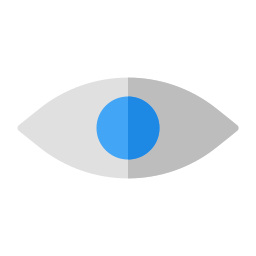 Privacy icon