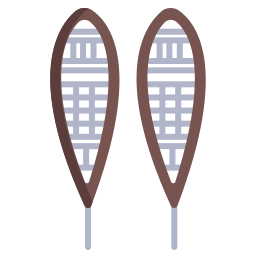 Snowshoes icon