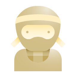 Ninja icon