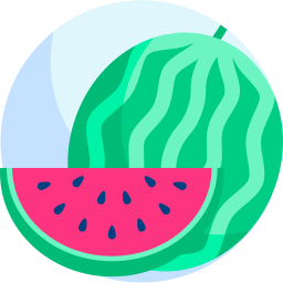 wassermelone icon