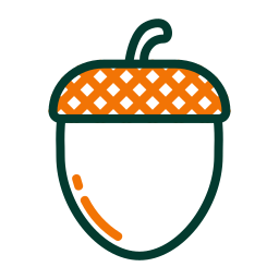 Acorn icon