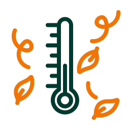 Temperature icon