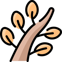 Branch icon