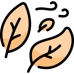 Leaf icon