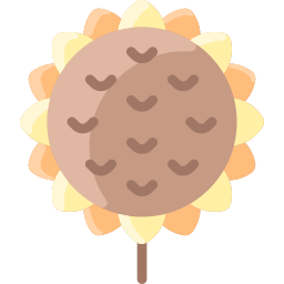 Sunflower icon