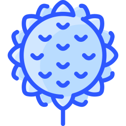 sonnenblume icon