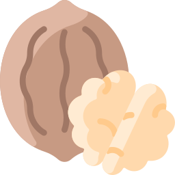 Walnut icon