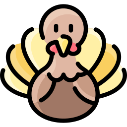 Turkey icon