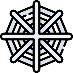 Spider web icon