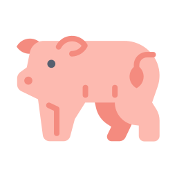 Pig icon