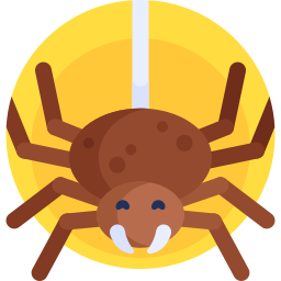 spinne icon