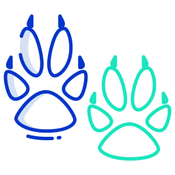 Paw icon