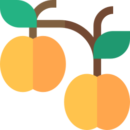 Yellow persimmon icon