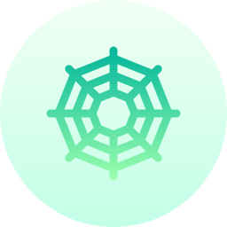 spinnennetz icon