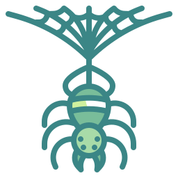 spinne icon