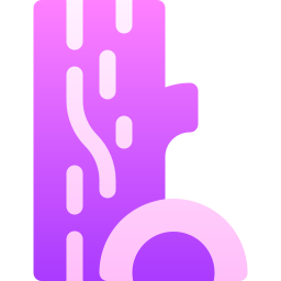 트렁크 icon