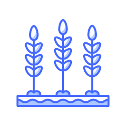 Wheat icon