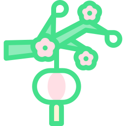 Cherry blossom icon