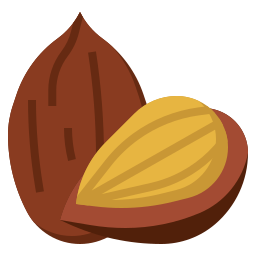 Almond icon