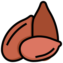 Flax seed icon