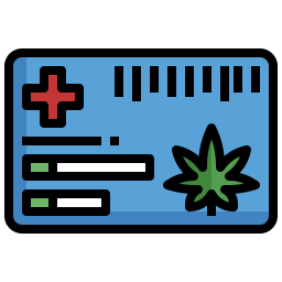 gesundheitskarte icon